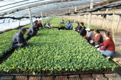 正在中国式现代化建赛道上跑出塔哈其速度